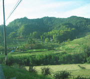 バスから見えた、棚田が広がる里山風景。