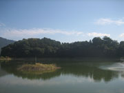 池の向こうに見えるのが箸墓古墳。