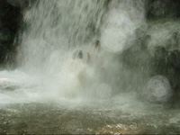 2005年8月、浅間の大滝における滝行